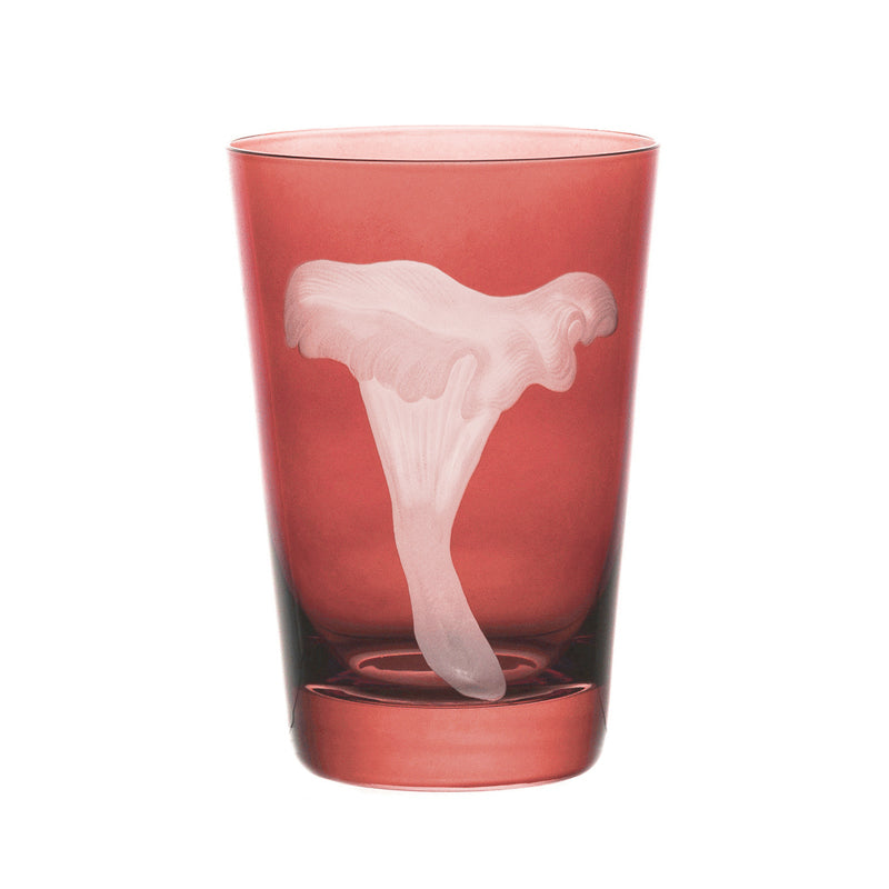 Mushrooms Chanterelle