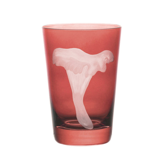 Mushrooms Chanterelle