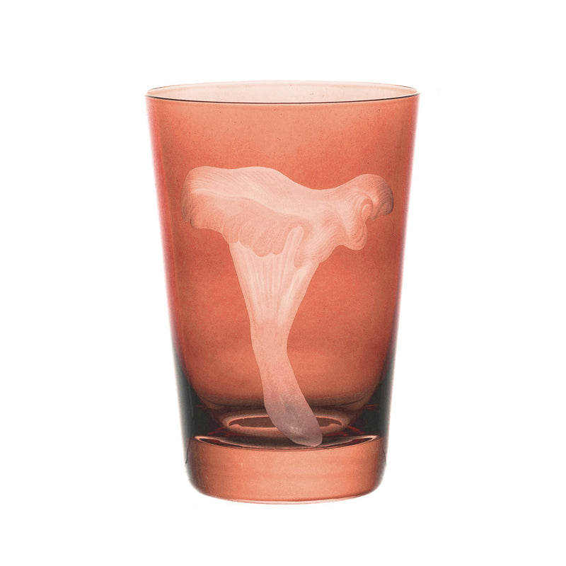 Mushrooms Chanterelle