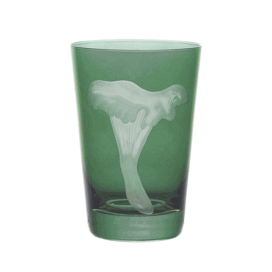 Mushrooms Chanterelle