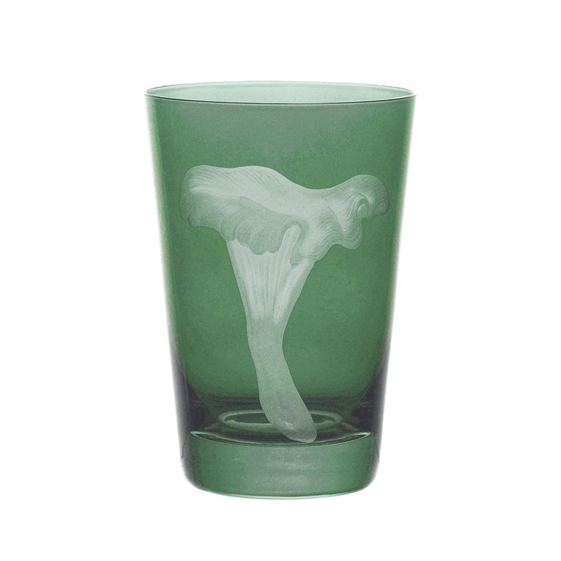 Mushrooms Chanterelle