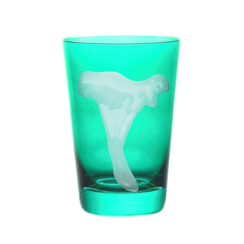 Mushrooms Chanterelle