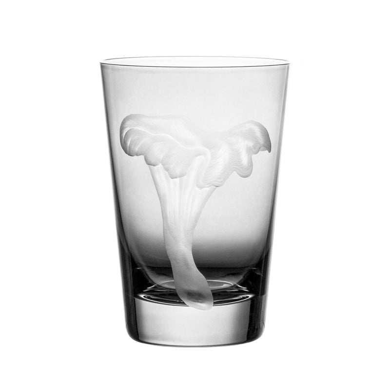 Mushrooms Chanterelle