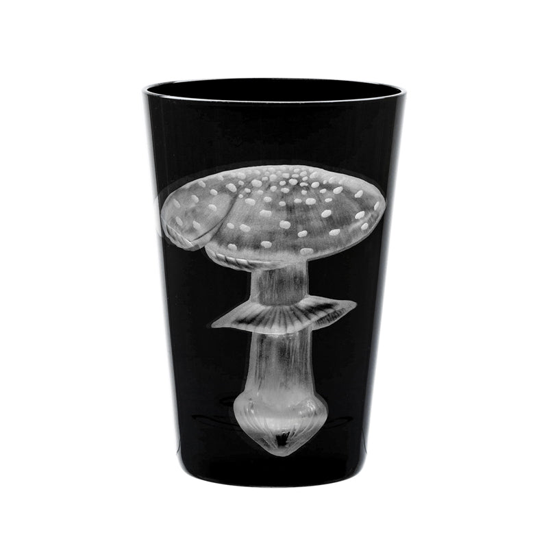 Mushrooms Fly Amanita