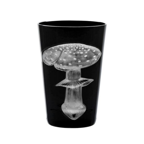 Mushrooms Fly Amanita