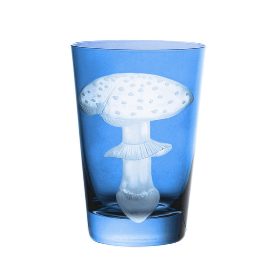 Mushrooms Fly Amanita