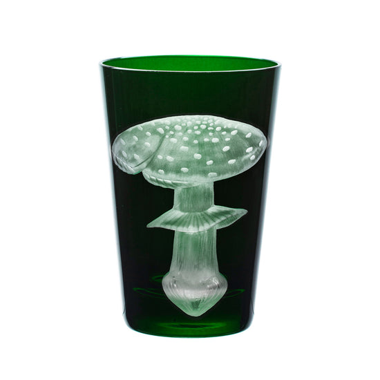 Mushrooms Fly Amanita