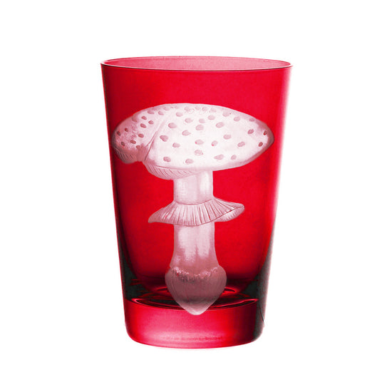 Mushrooms Fly Amanita