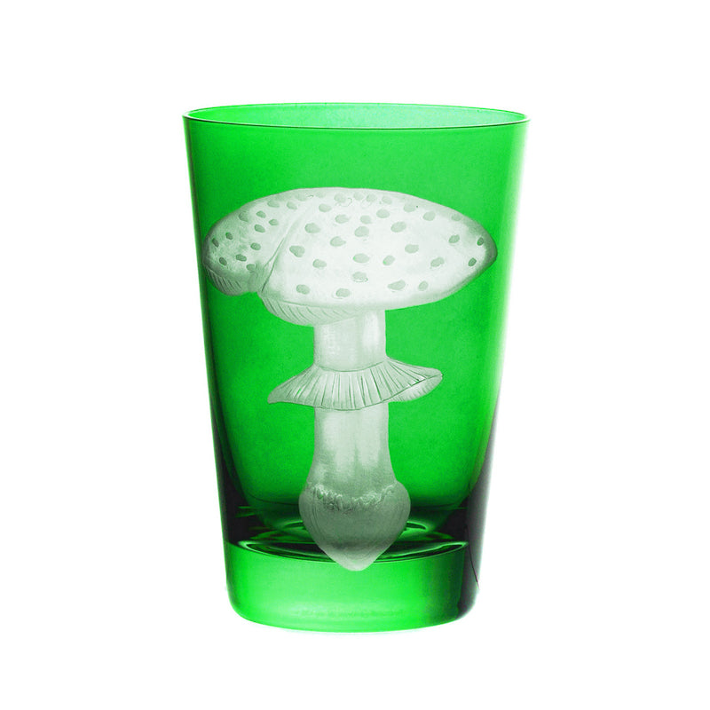 Mushrooms Fly Amanita