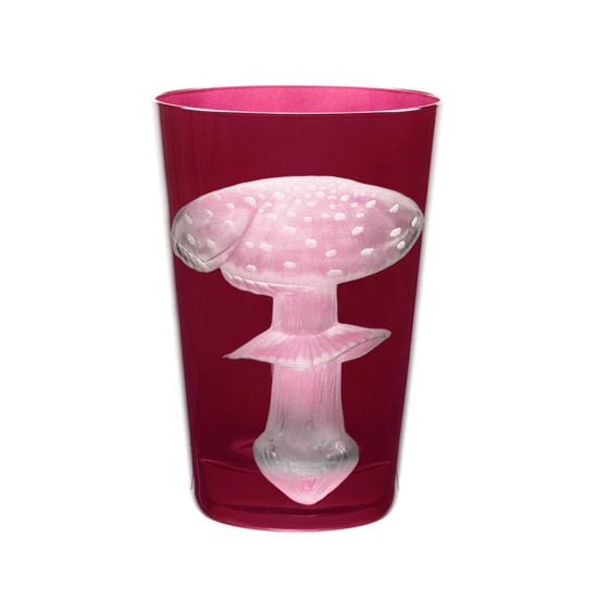 Mushrooms Fly Amanita