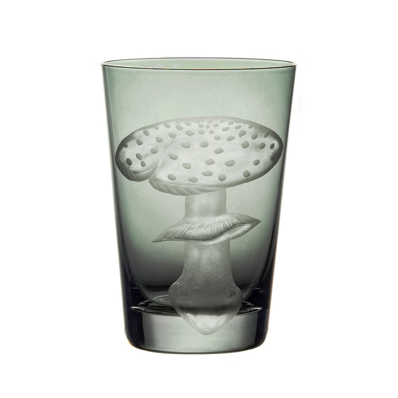 Mushrooms Fly Amanita