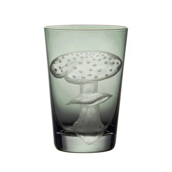 Mushrooms Fly Amanita