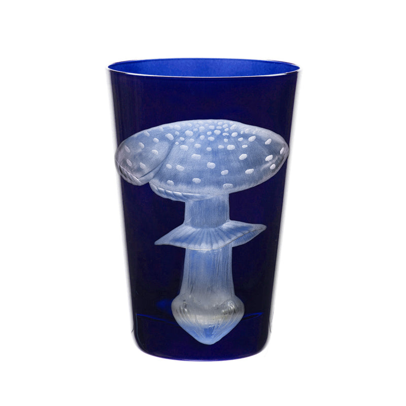 Mushrooms Fly Amanita