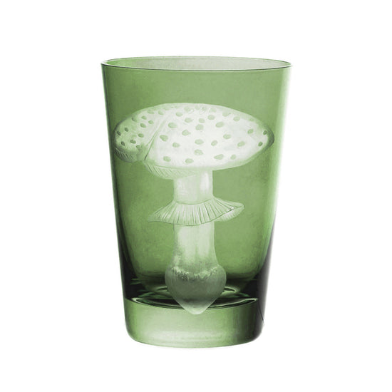 Mushrooms Fly Amanita