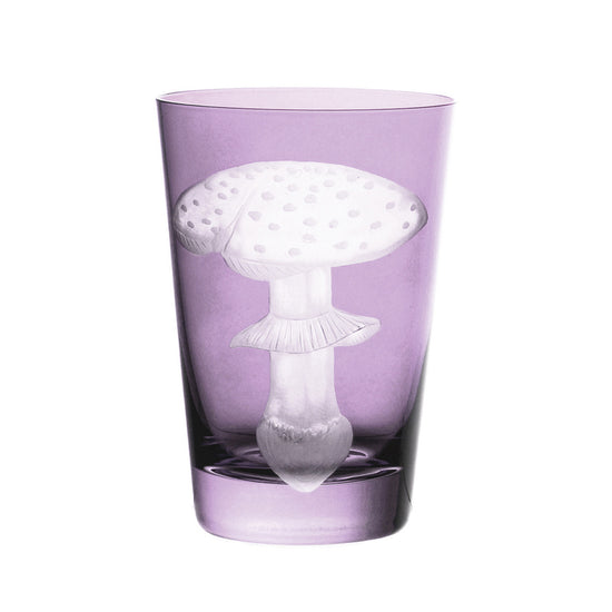 Mushrooms Fly Amanita