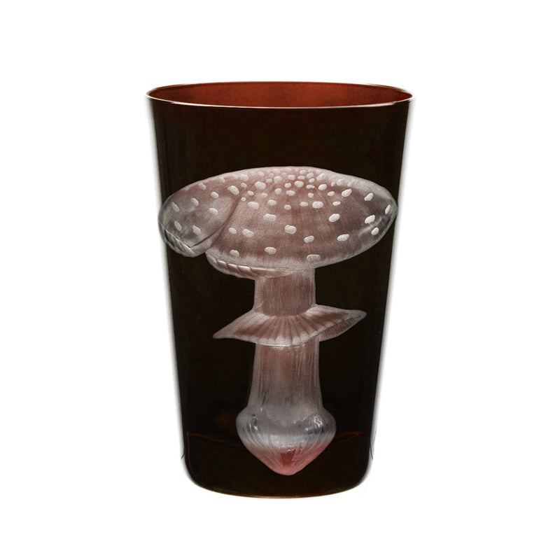 Mushrooms Fly Amanita