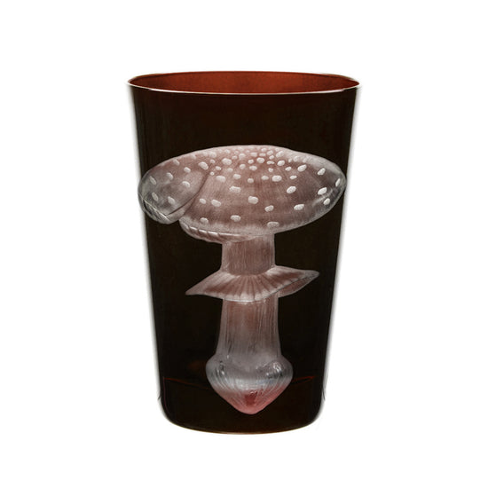 Mushrooms Fly Amanita