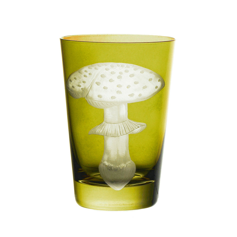 Mushrooms Fly Amanita