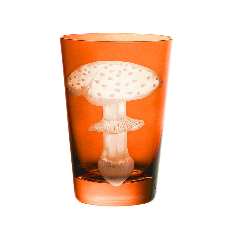 Mushrooms Fly Amanita