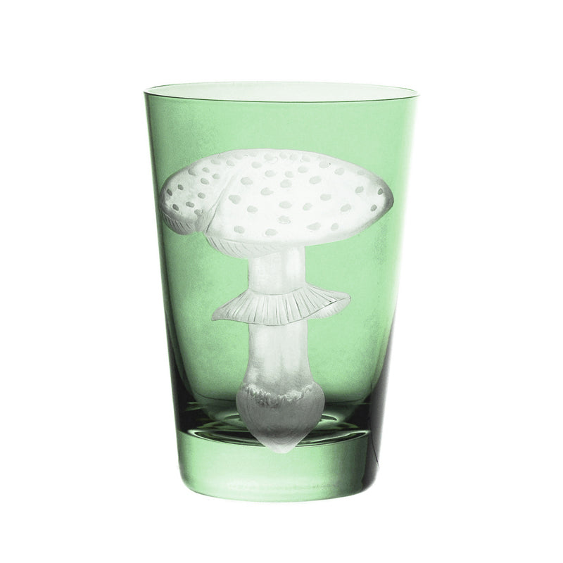 Mushrooms Fly Amanita