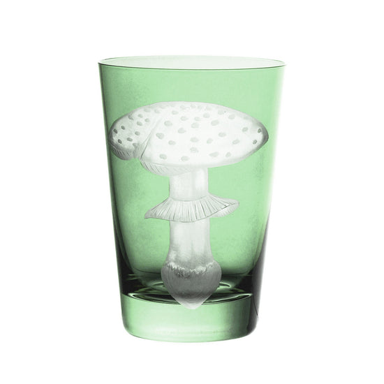 Mushrooms Fly Amanita