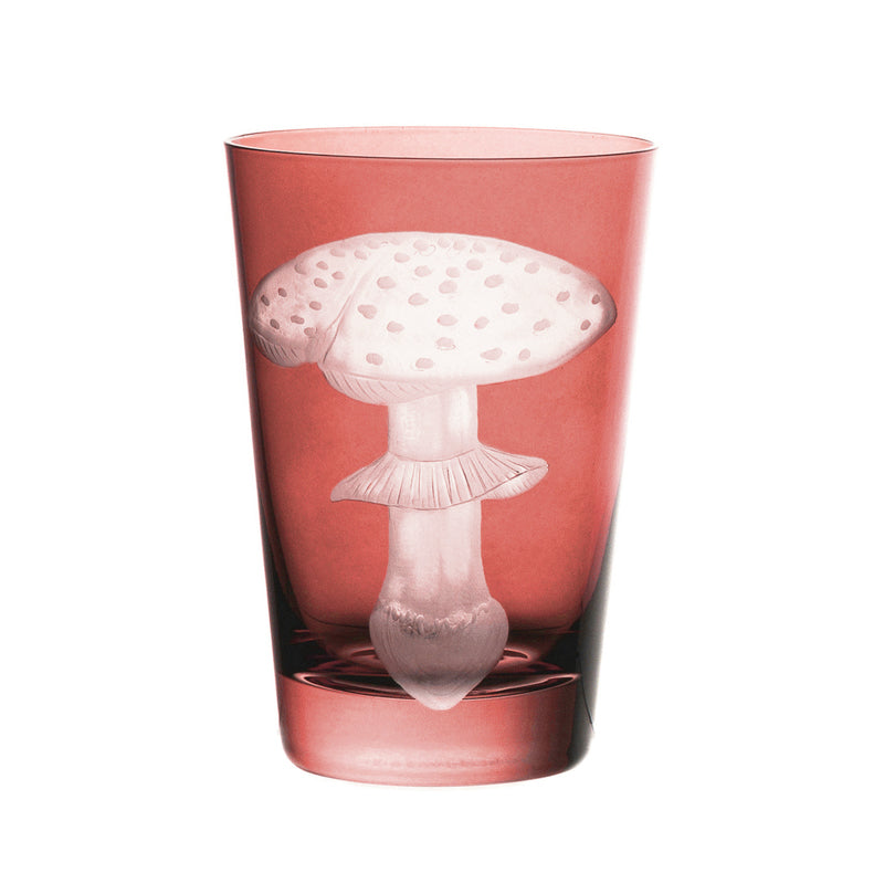 Mushrooms Fly Amanita