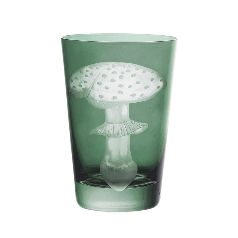 Mushrooms Fly Amanita