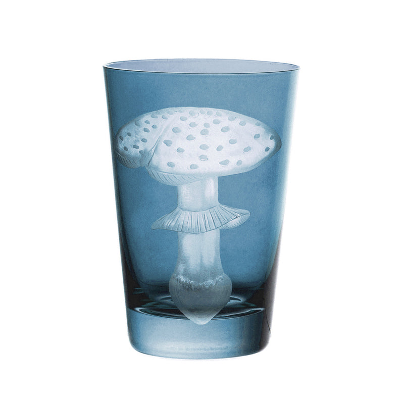 Mushrooms Fly Amanita