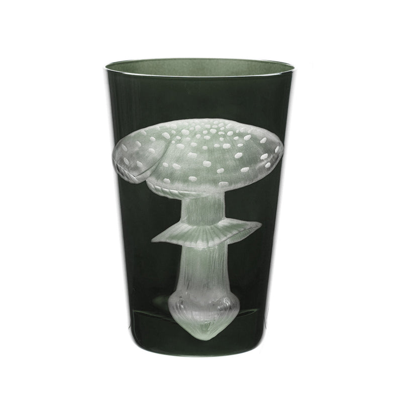 Mushrooms Fly Amanita