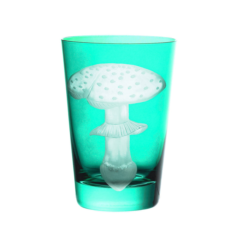 Mushrooms Fly Amanita