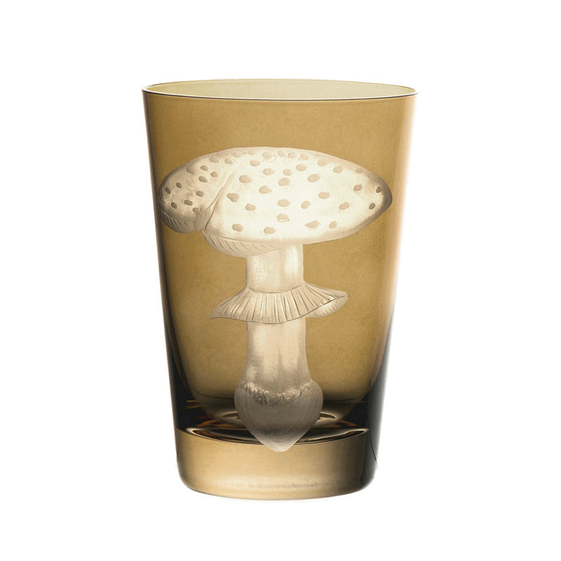 Mushrooms Fly Amanita