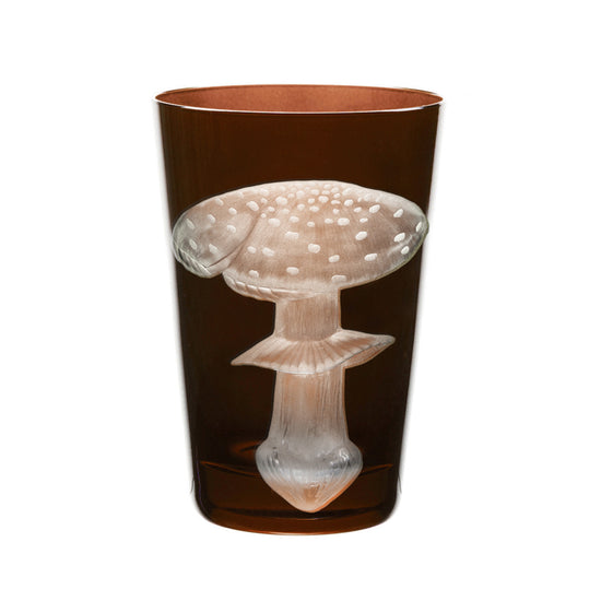 Mushrooms Fly Amanita