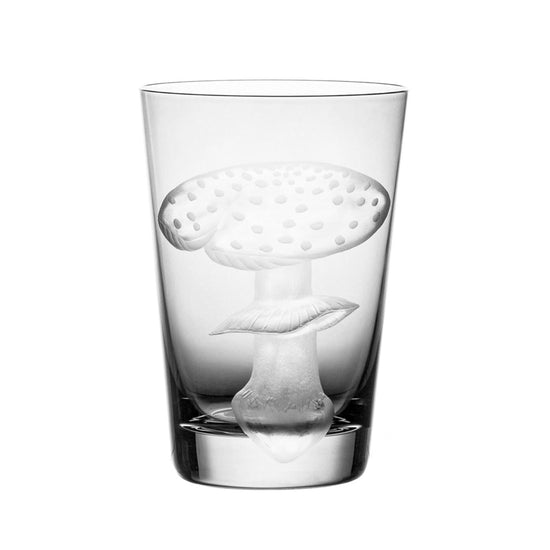 Mushrooms Fly Amanita