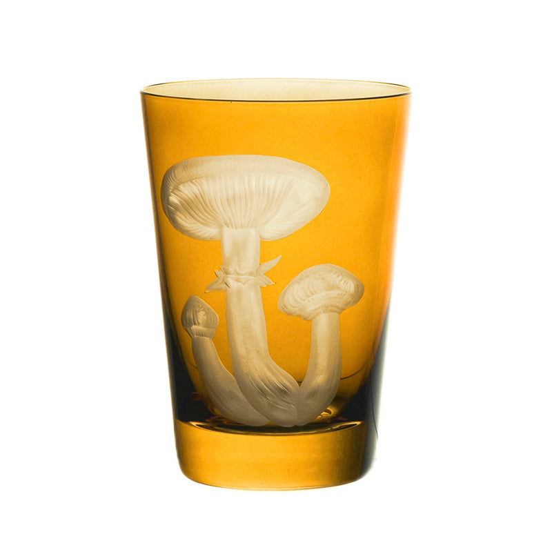 Mushrooms Honey Fungus