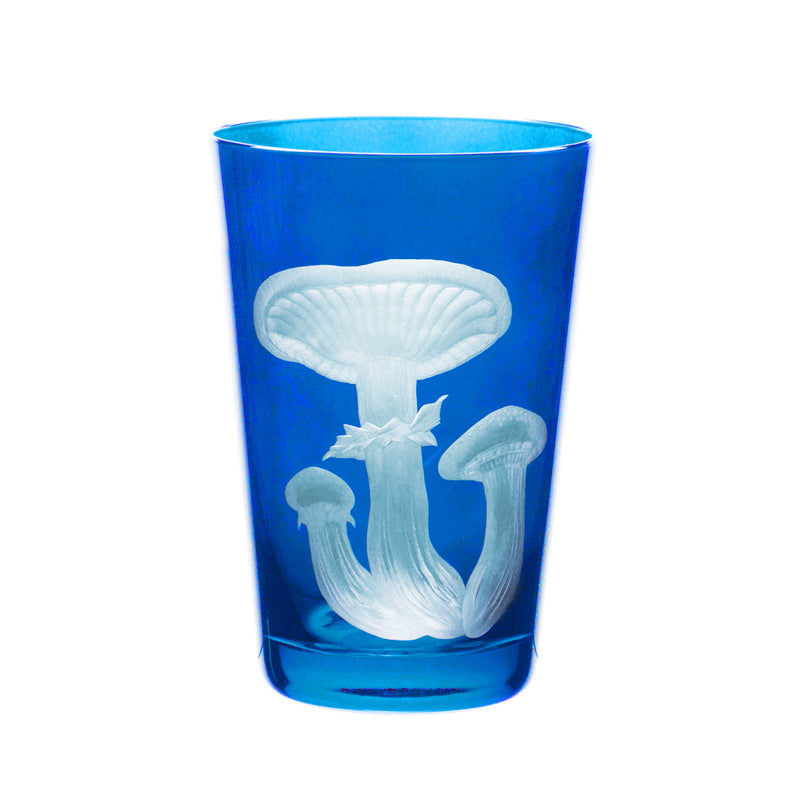 Mushrooms Honey Fungus