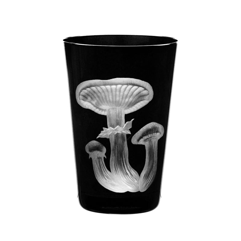 Mushrooms Honey Fungus