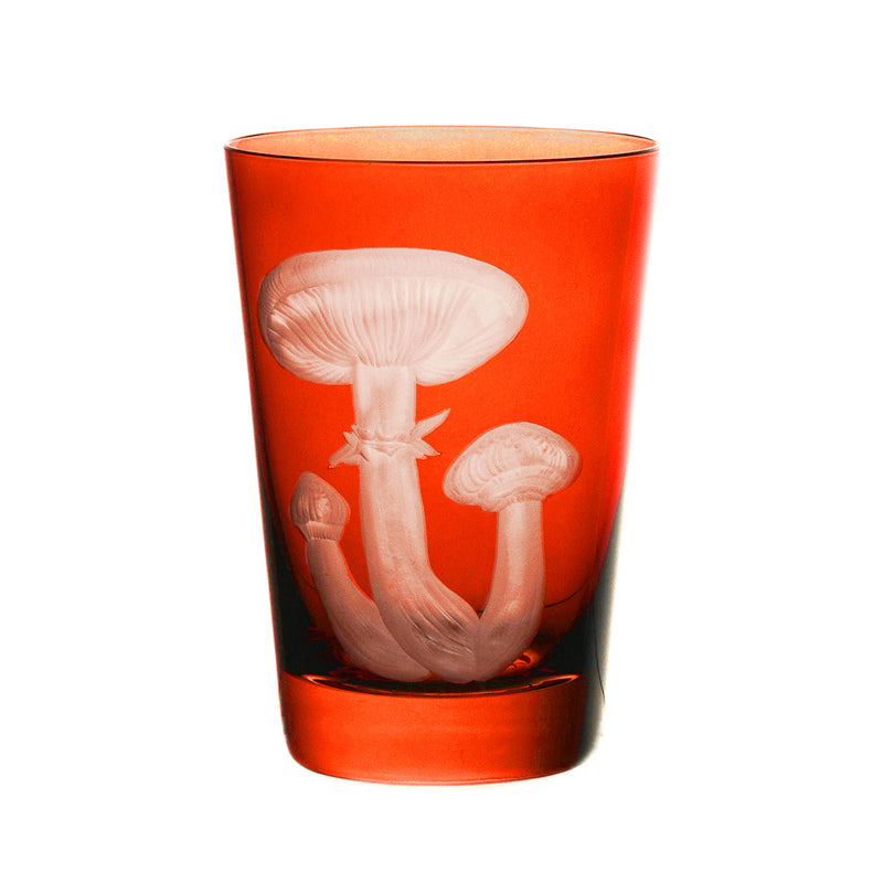 Mushrooms Honey Fungus