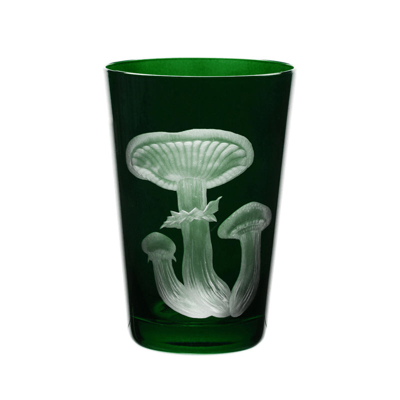 Mushrooms Honey Fungus