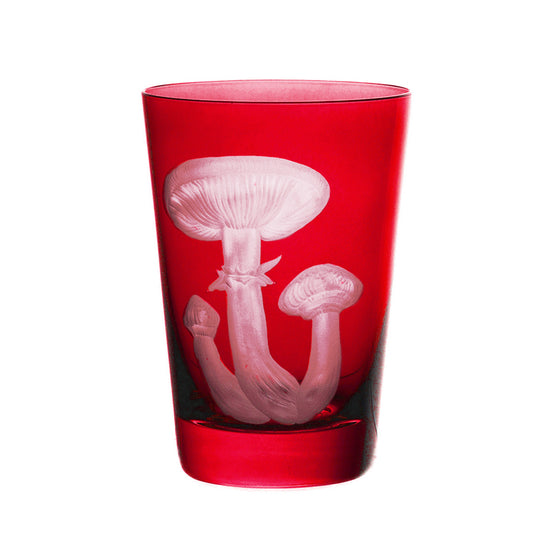 Mushrooms Honey Fungus