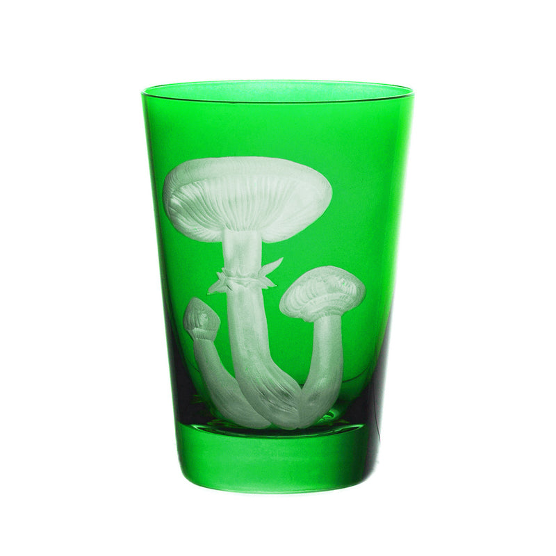 Mushrooms Honey Fungus