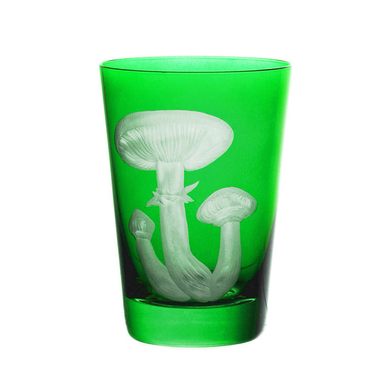 Mushrooms Honey Fungus