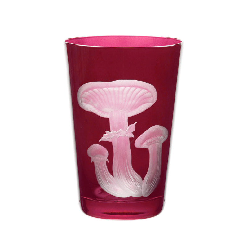 Mushrooms Honey Fungus