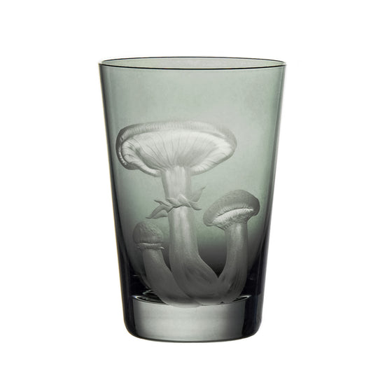 Mushrooms Honey Fungus