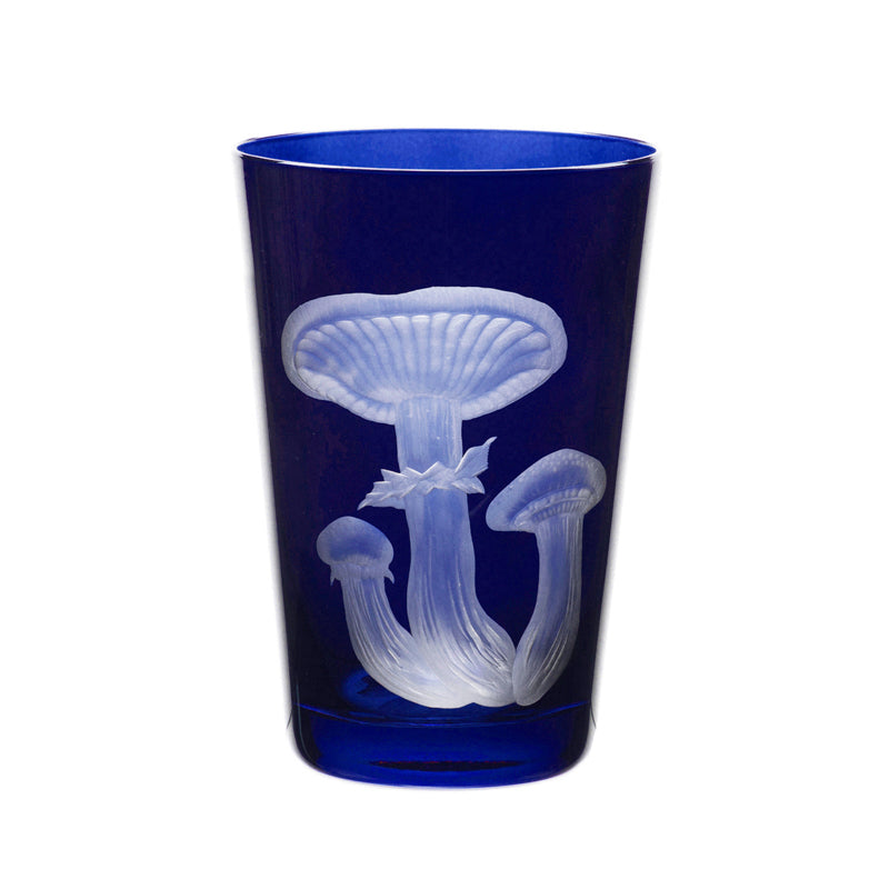 Mushrooms Honey Fungus