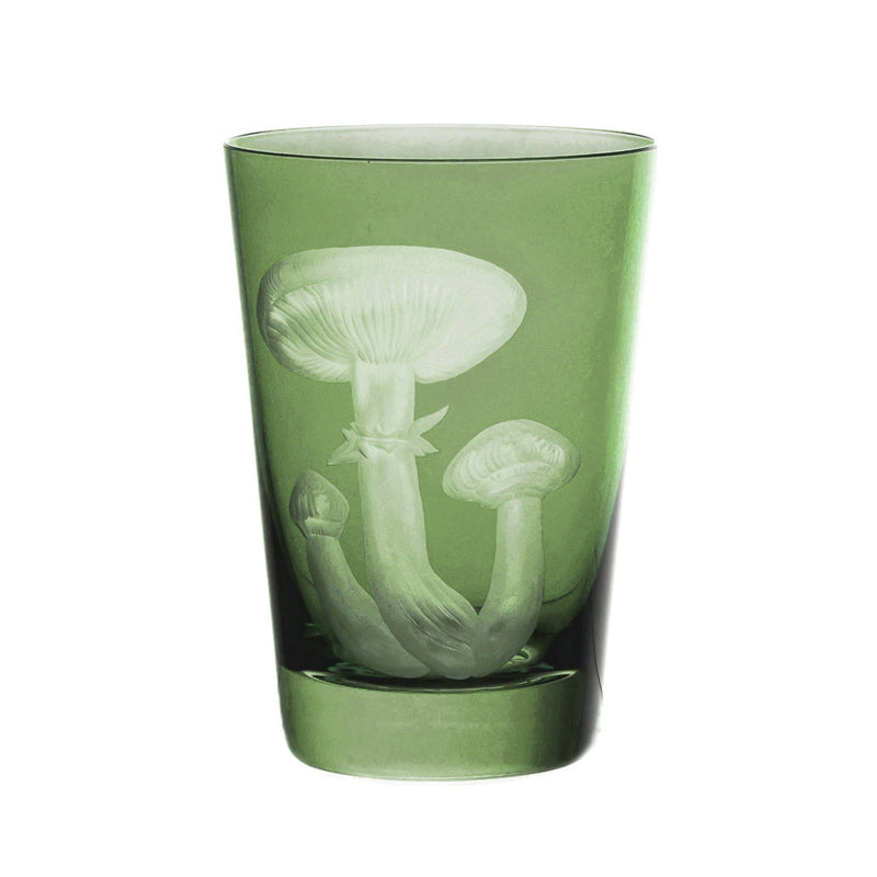 Mushrooms Honey Fungus