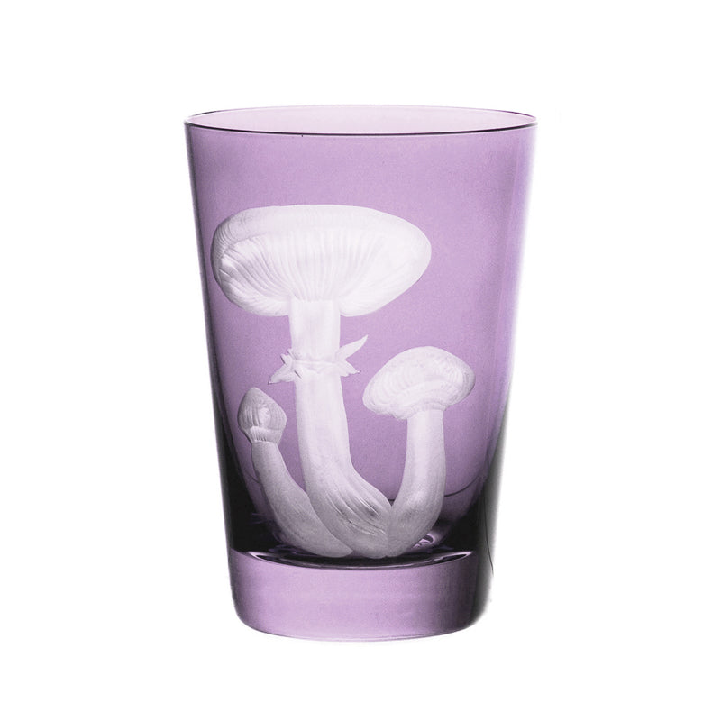 Mushrooms Honey Fungus