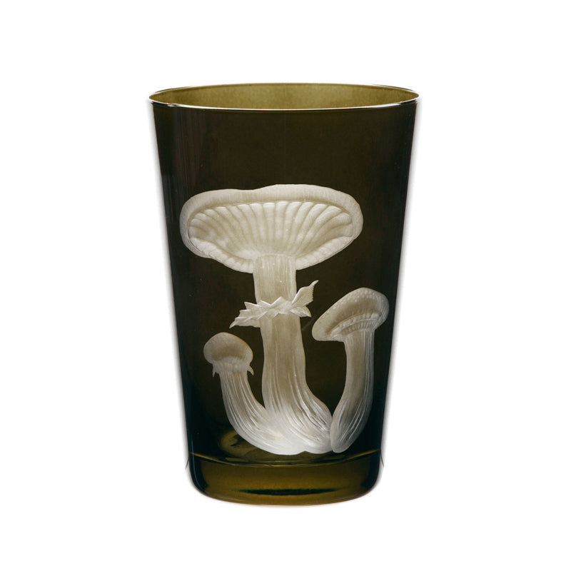 Mushrooms Honey Fungus