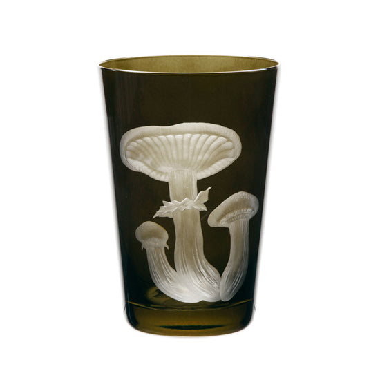 Mushrooms Honey Fungus