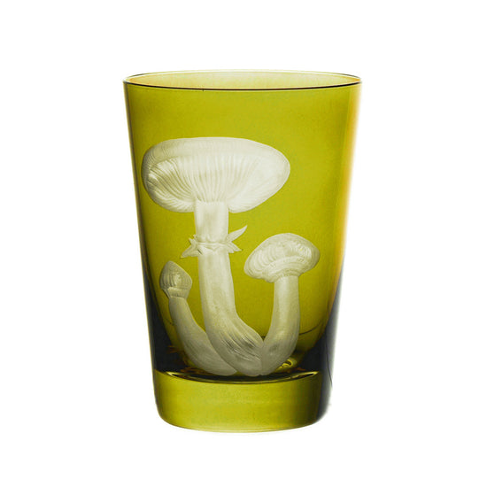 Mushrooms Honey Fungus