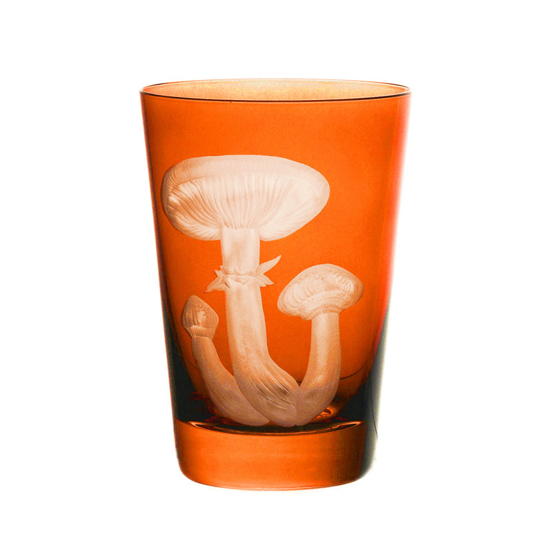 Mushrooms Honey Fungus